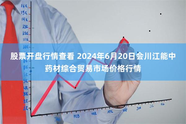 股票开盘行情查看 2024年6月20日会川江能中药材综合贸易市场价格行情