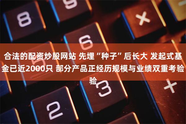 合法的配资炒股网站 先埋“种子”后长大 发起式基金已近2000只 部分产品正经历规模与业绩双重考验