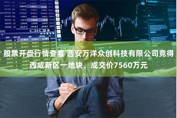 股票开盘行情查看 西安万洋众创科技有限公司竞得西咸新区一地块，成交价7560万元