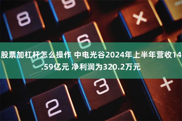 股票加杠杆怎么操作 中电光谷2024年上半年营收14.59亿