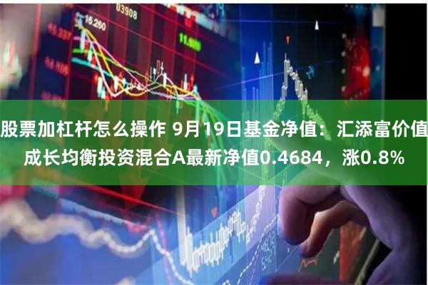 股票加杠杆怎么操作 9月19日基金净值：汇添富价值成长均衡投资混合A最新净值0.4684，涨0.8%