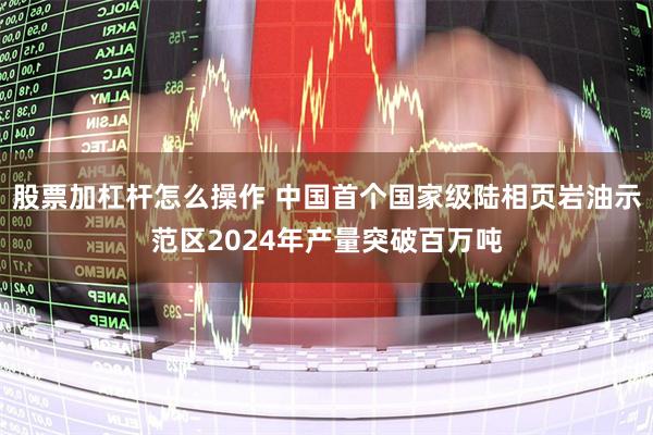 股票加杠杆怎么操作 中国首个国家级陆相页岩油示范区2024年